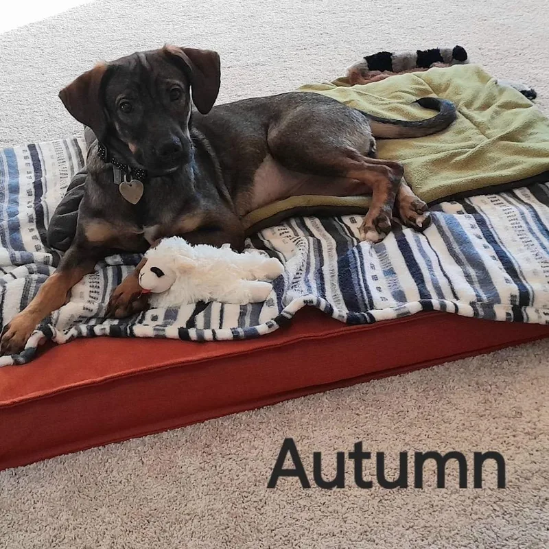 Autumn G thumbnail 3