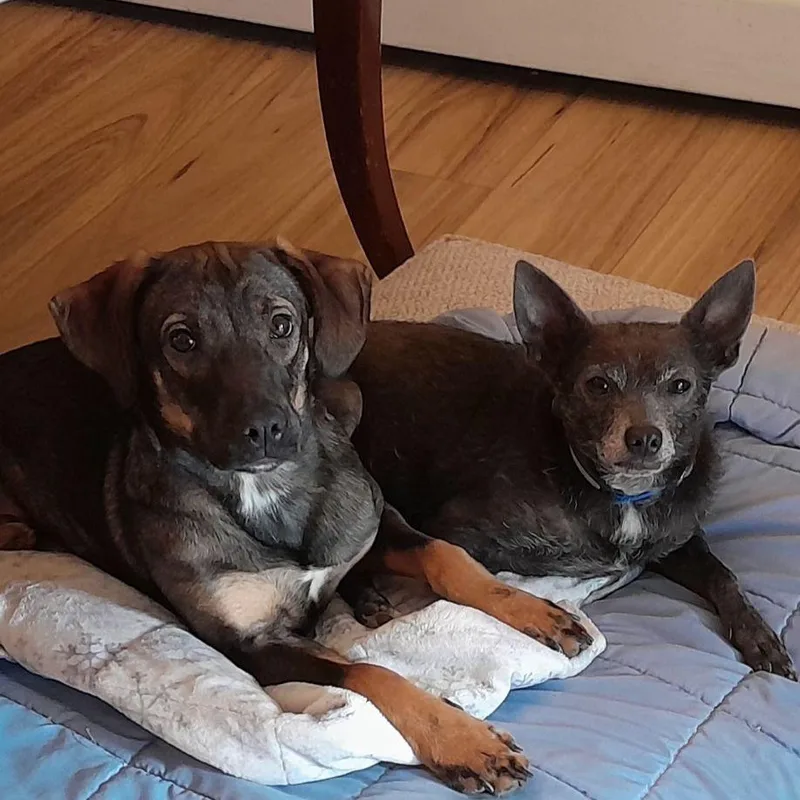 Autumn G thumbnail 4