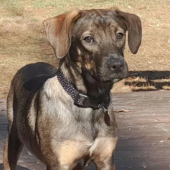 Autumn G thumbnail 5