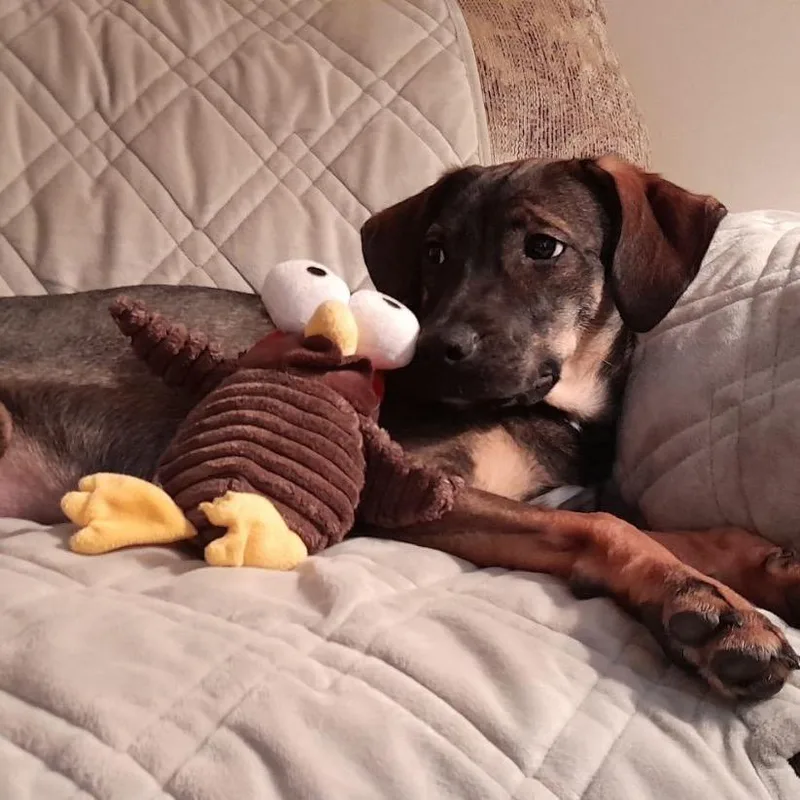 Autumn G thumbnail 6