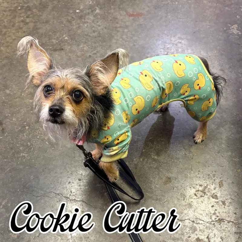 Cookie Cutter