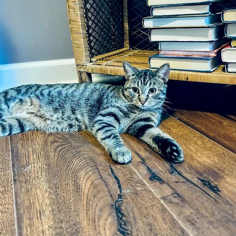 Bananas In Pajamas thumbnail 2