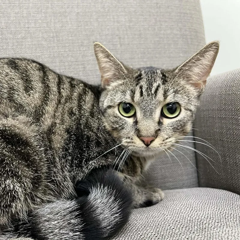 Bananas In Pajamas thumbnail 4