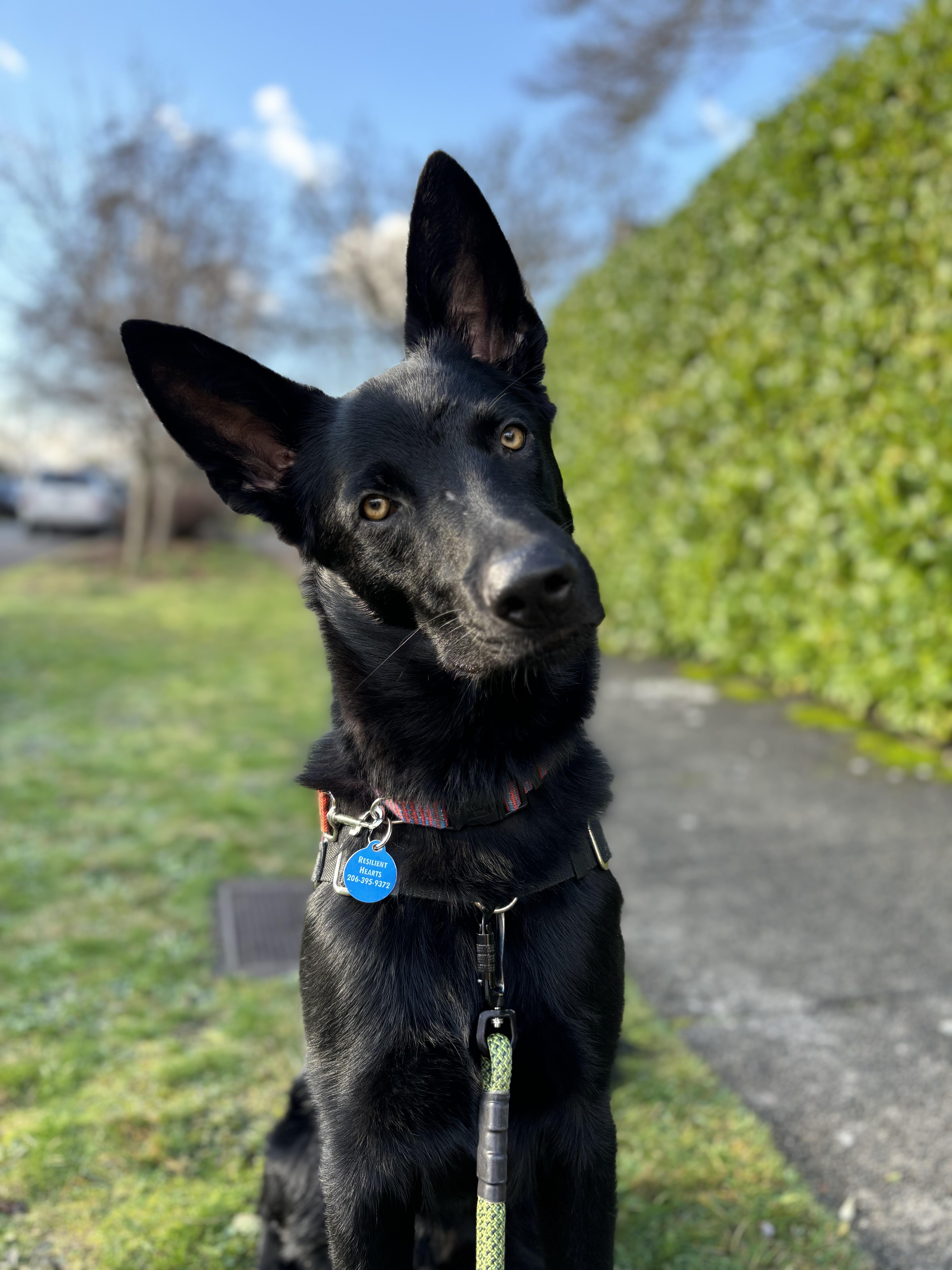 Little Foot thumbnail 3