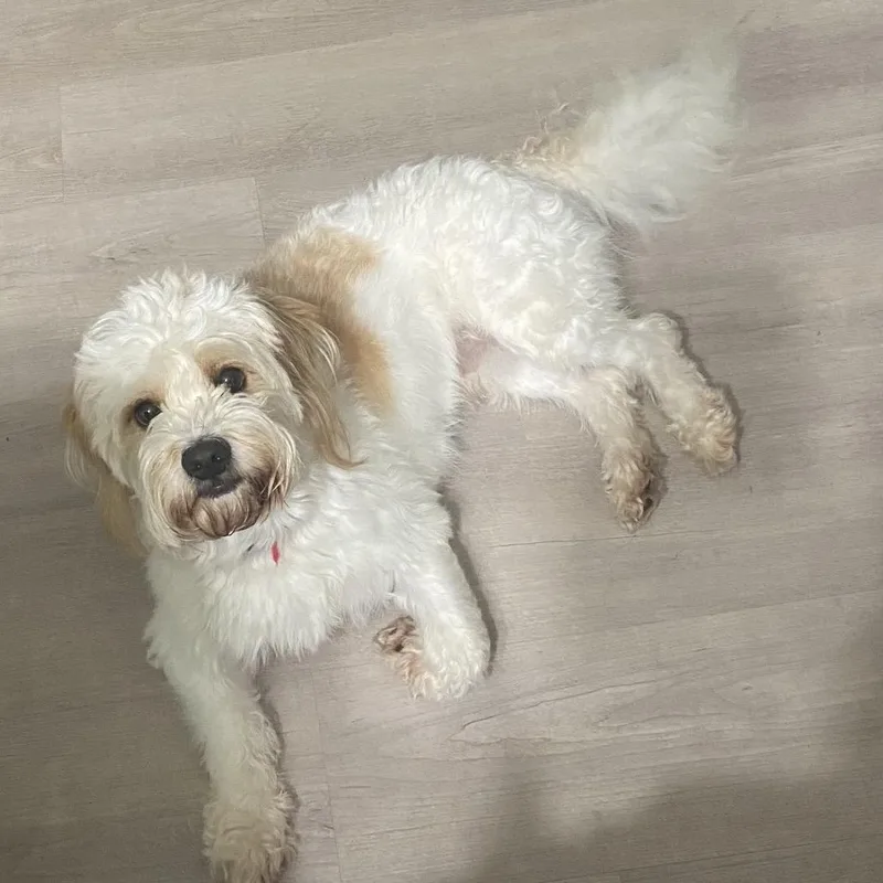 Marley