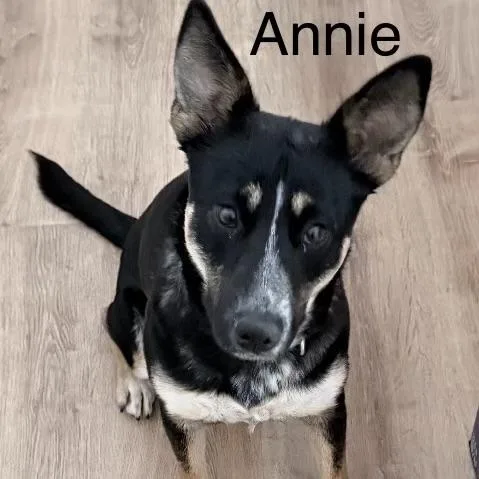 Annie thumbnail 2