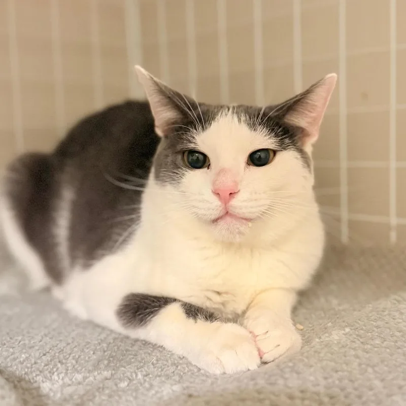 Mr. Golly thumbnail 2