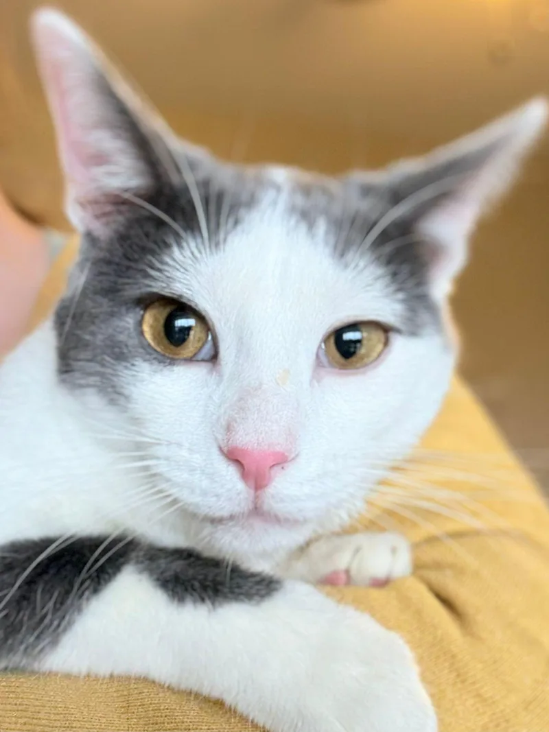 Mr. Golly thumbnail 5