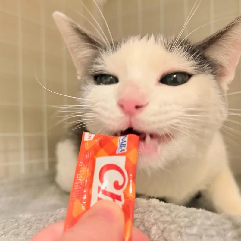 Mr. Golly thumbnail 6