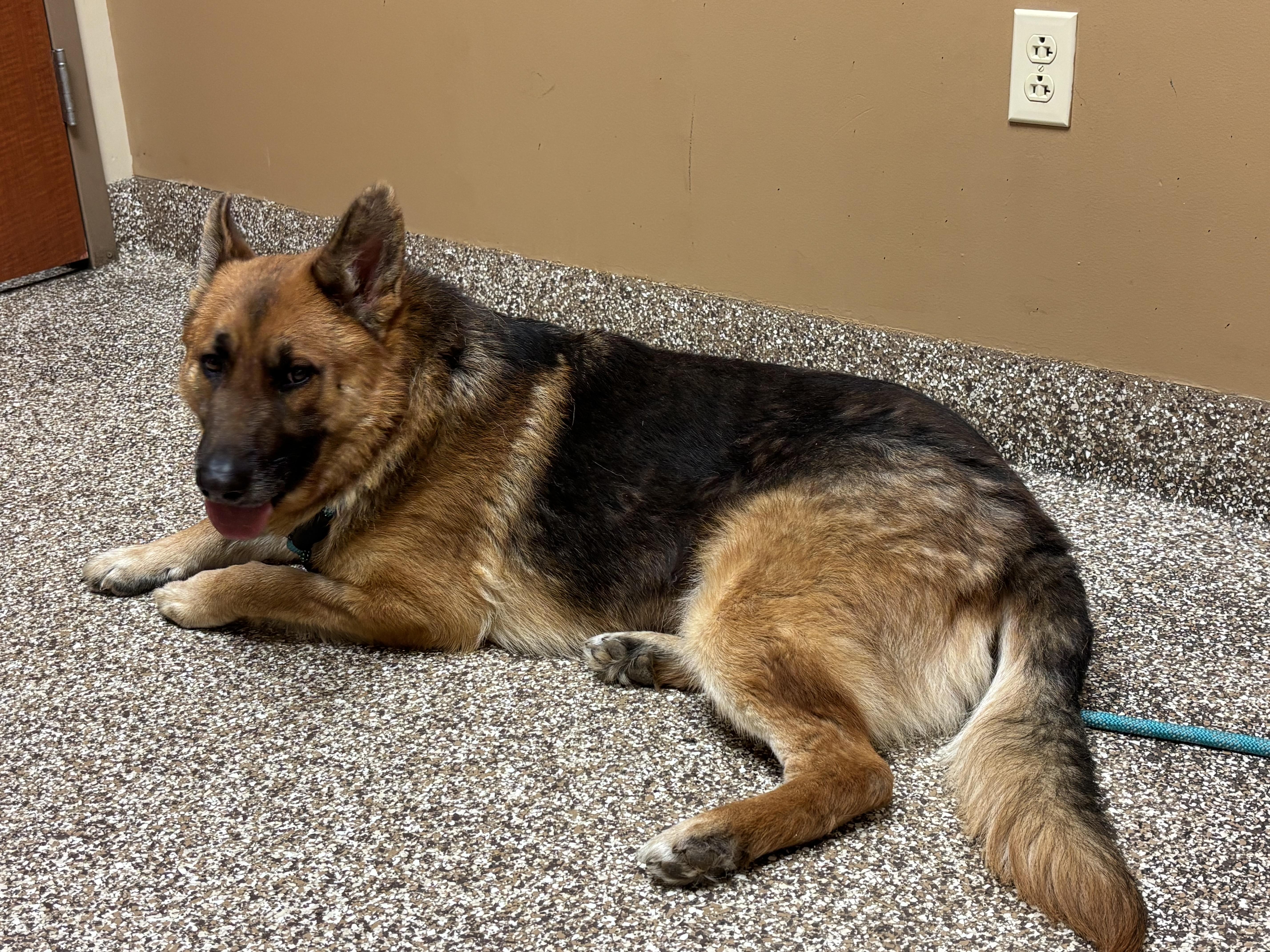 Harrison thumbnail 2