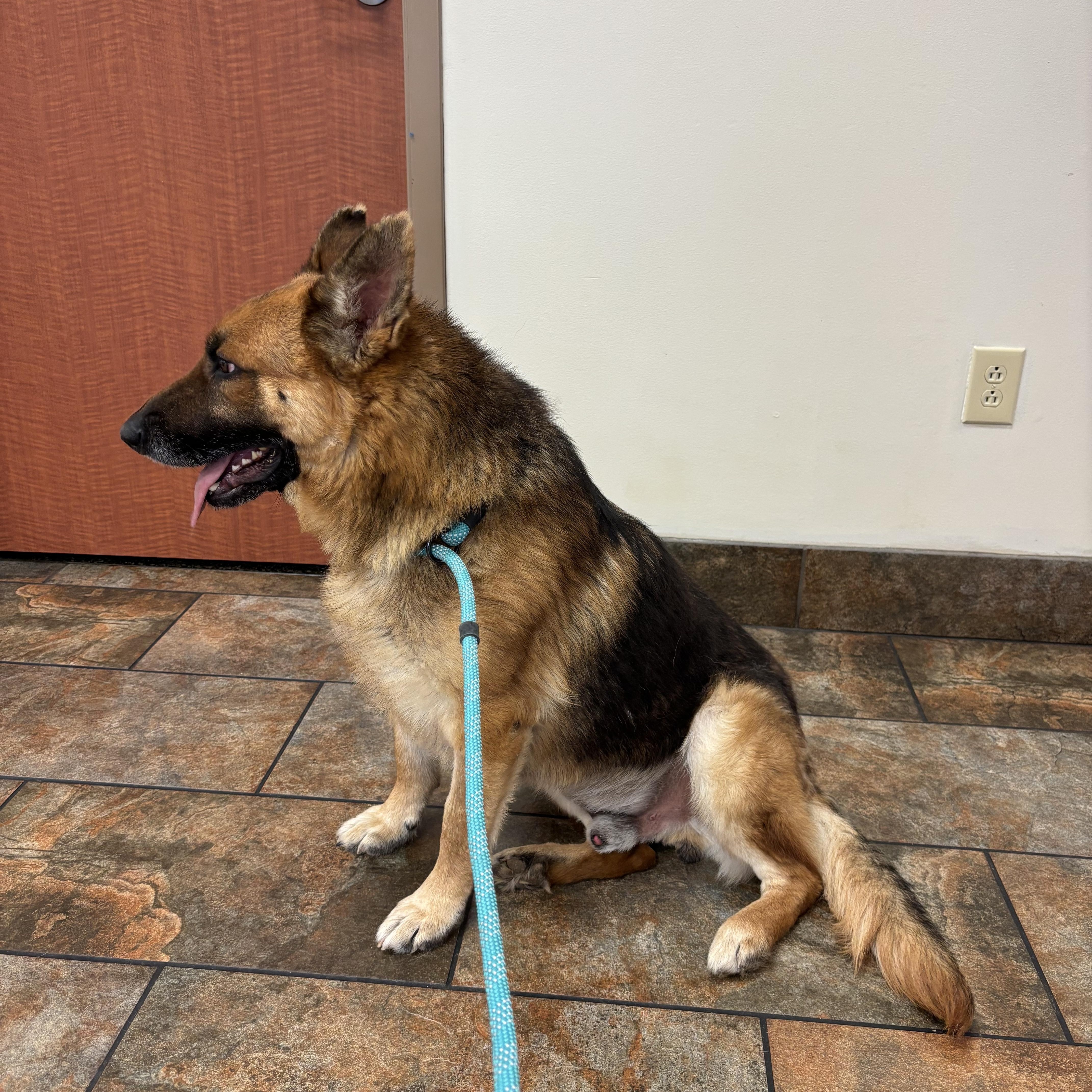 Harrison thumbnail 3