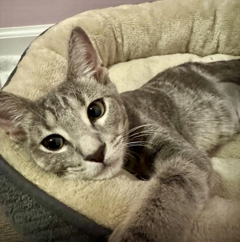 Gabby thumbnail 3