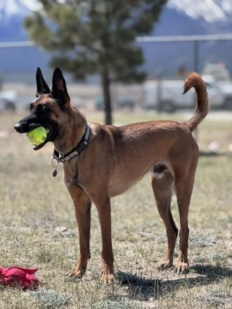 Sashtian  Located In thumbnail 2