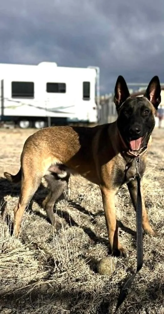 Sashtian  Located In thumbnail 3