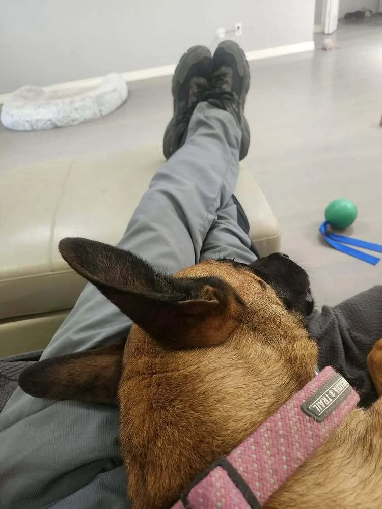 Sashtian  Located In thumbnail 4