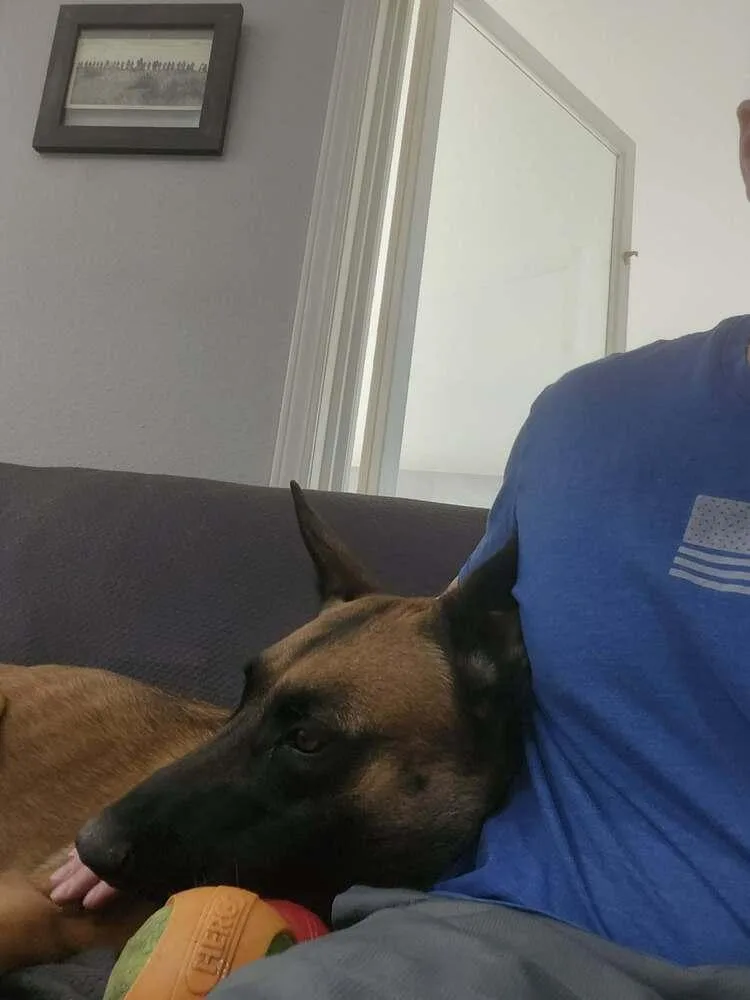 Sashtian  Located In thumbnail 5