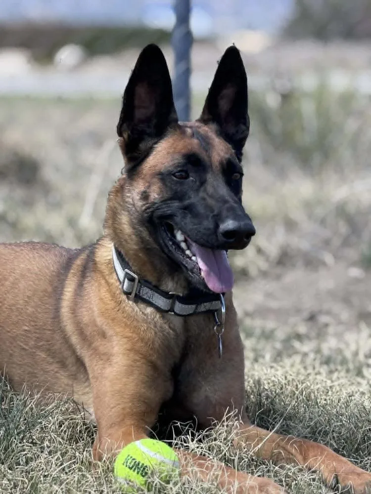 Sashtian  Located In thumbnail 6