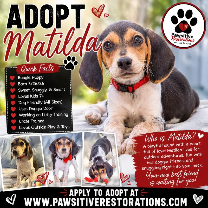 Matilda thumbnail 4