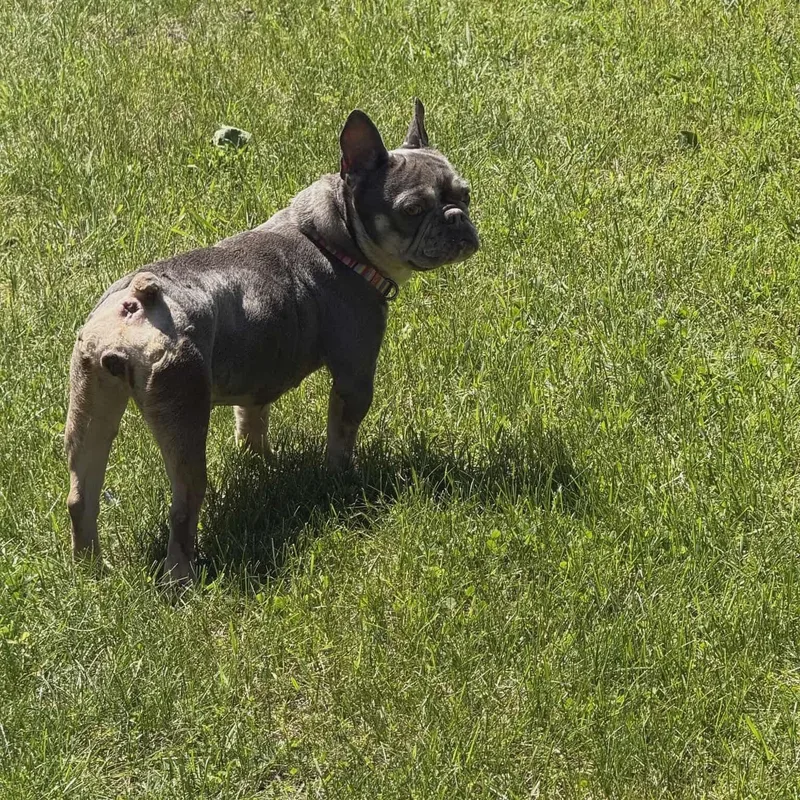 Dottie thumbnail 2