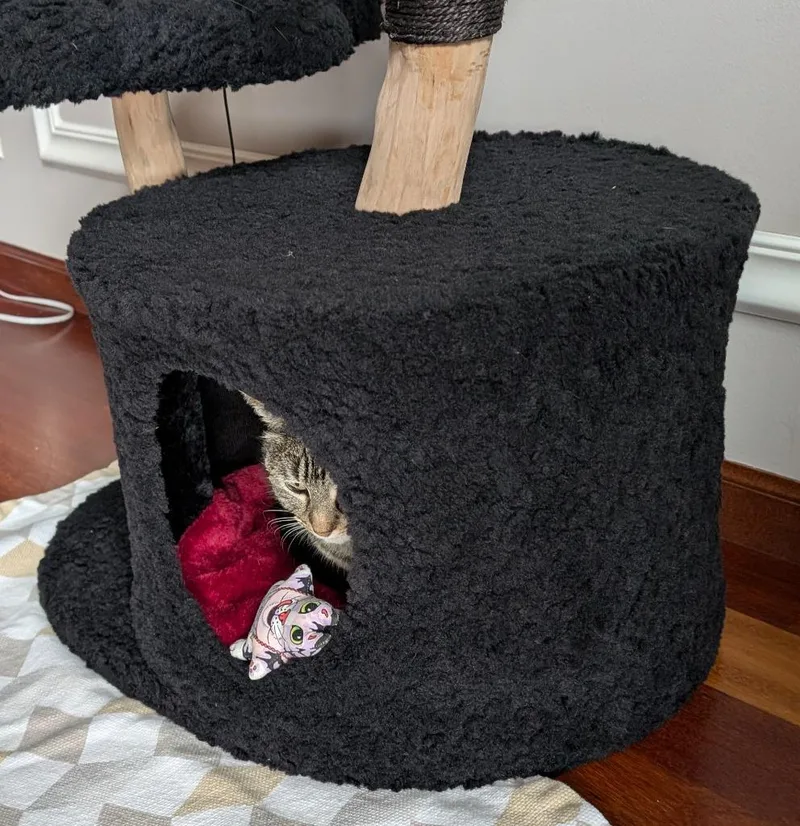 Miss Tilly thumbnail 4