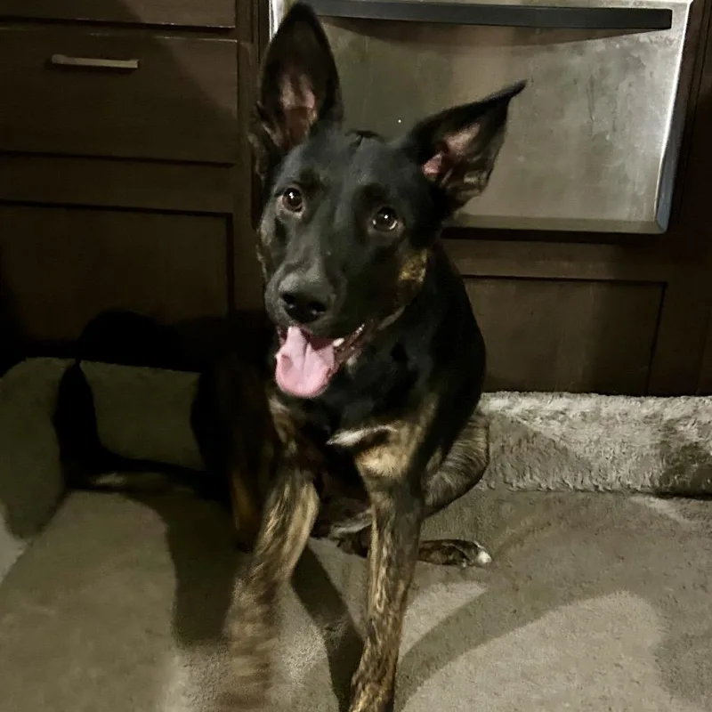 Charlie Dean thumbnail 2