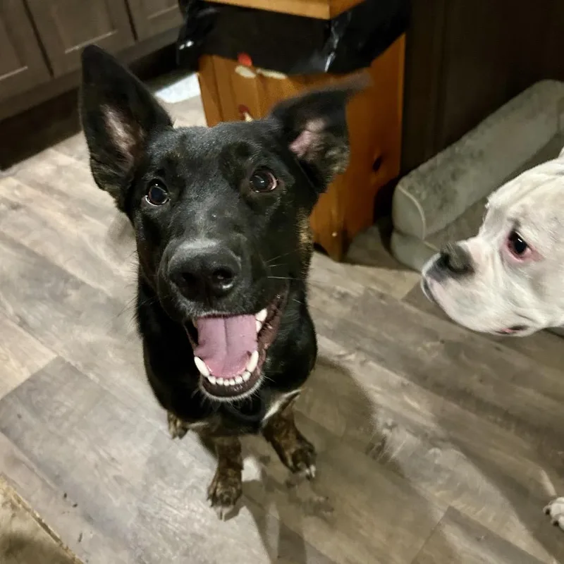 Charlie Dean thumbnail 3