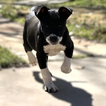 Freckles thumbnail 3