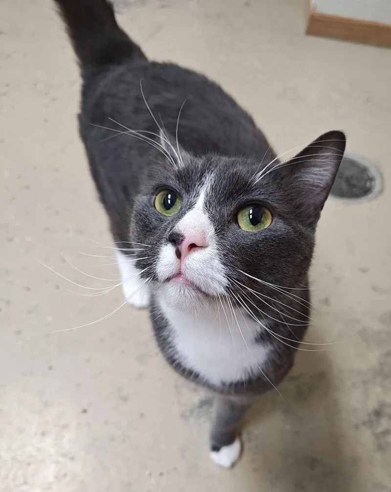 Kawtherand Zaid thumbnail 3