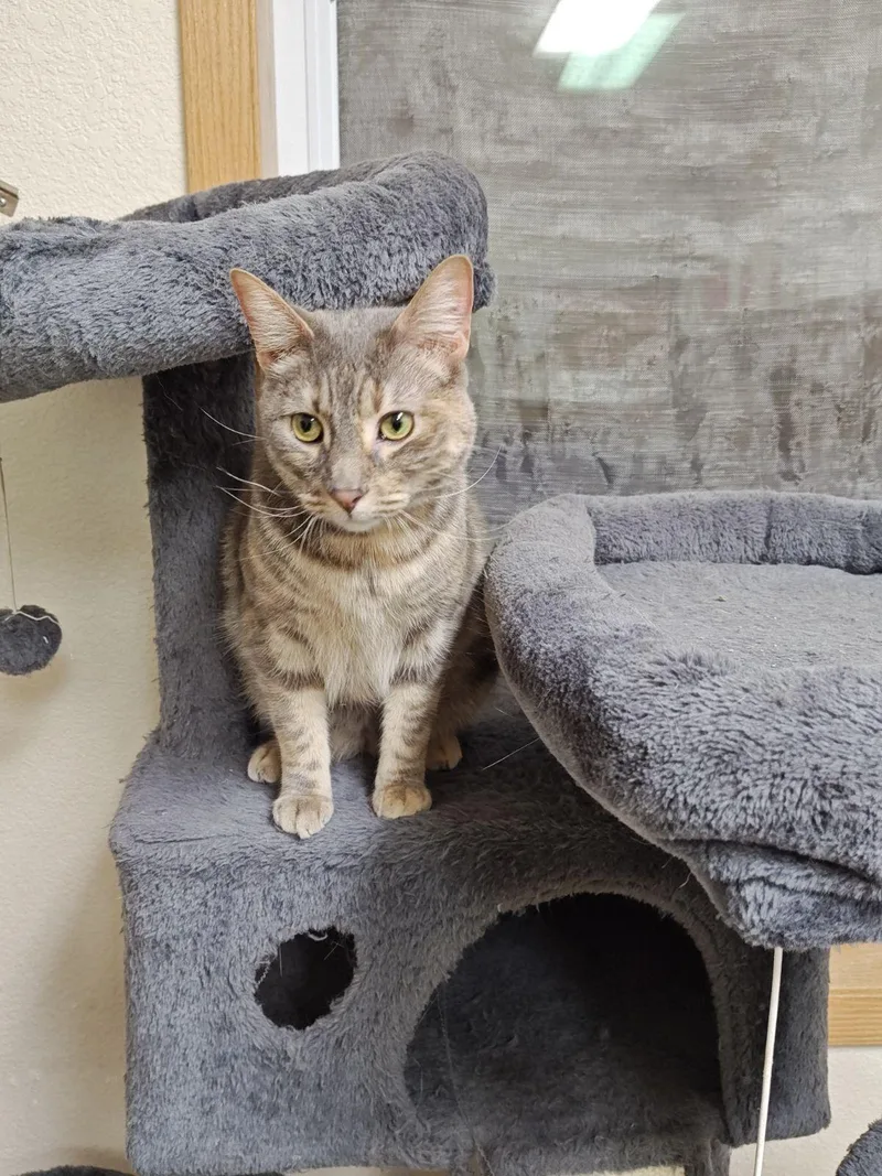 Kawtherand Zaid thumbnail 6