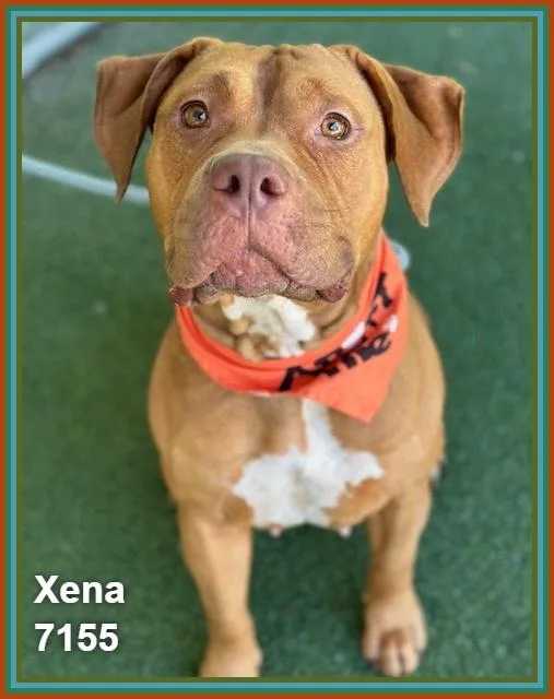 Xena