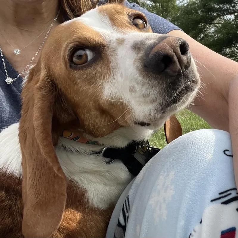 Tagalong thumbnail 3