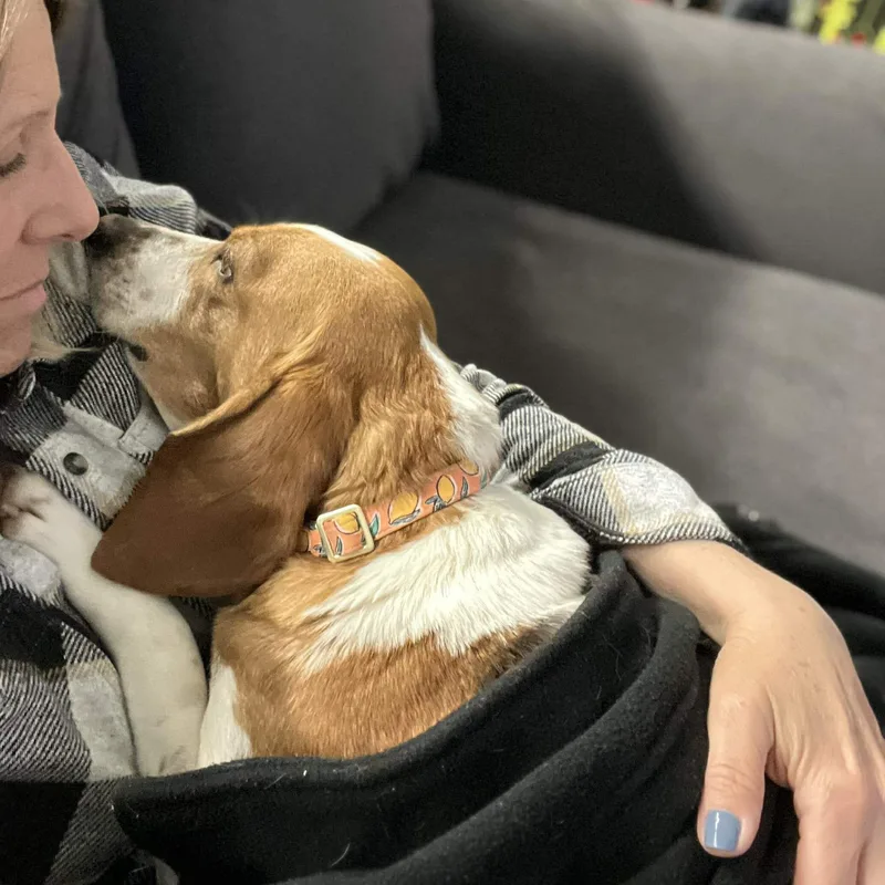 Tagalong thumbnail 5