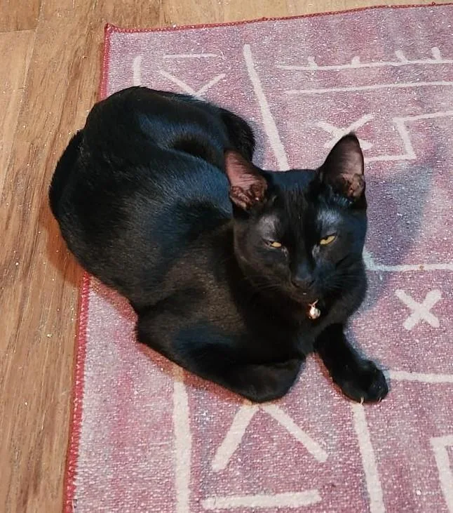 Wendy & Siblings thumbnail 2