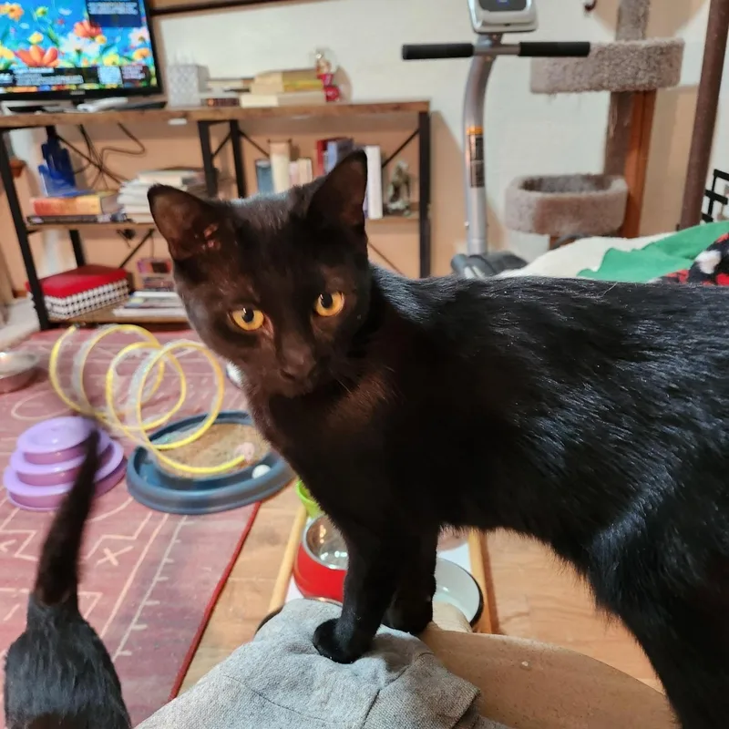 Wendy & Siblings thumbnail 3