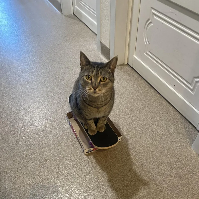 Captain Crunch thumbnail 2