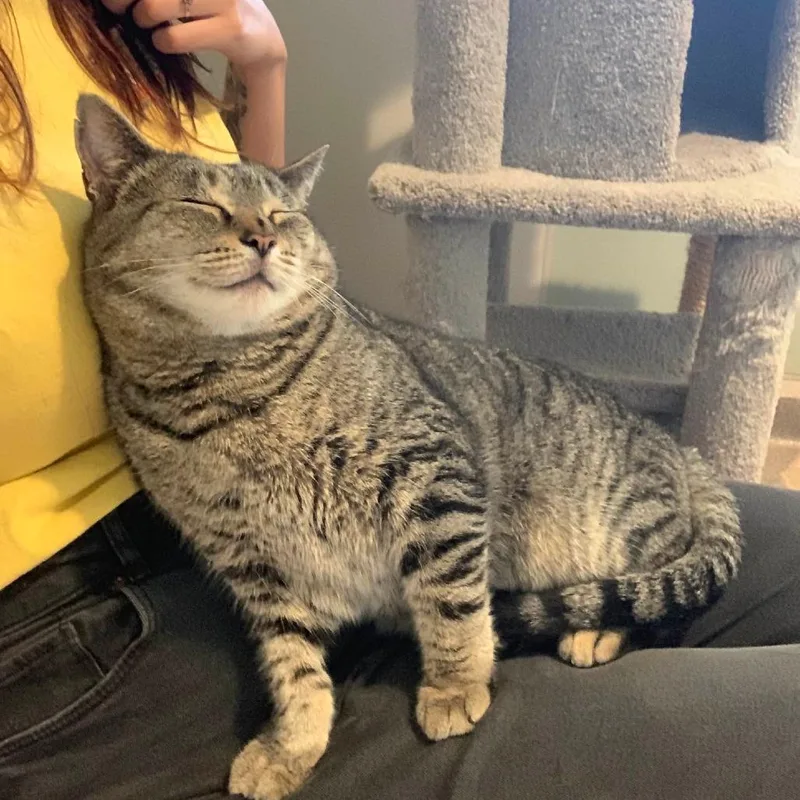 Captain Crunch thumbnail 4