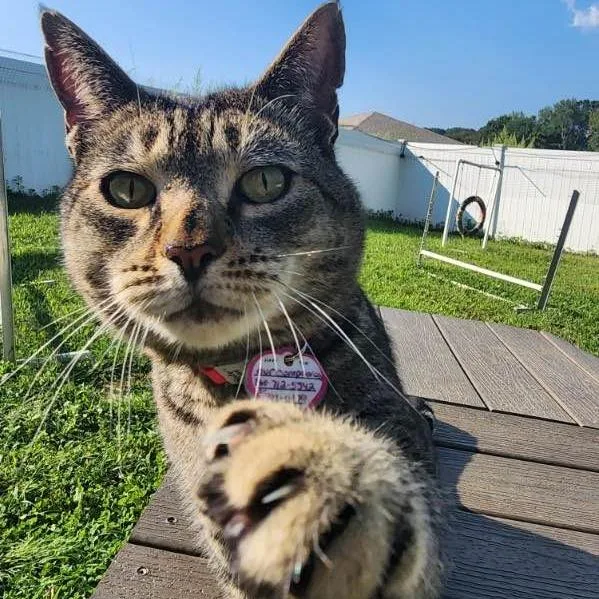 Captain Crunch thumbnail 5