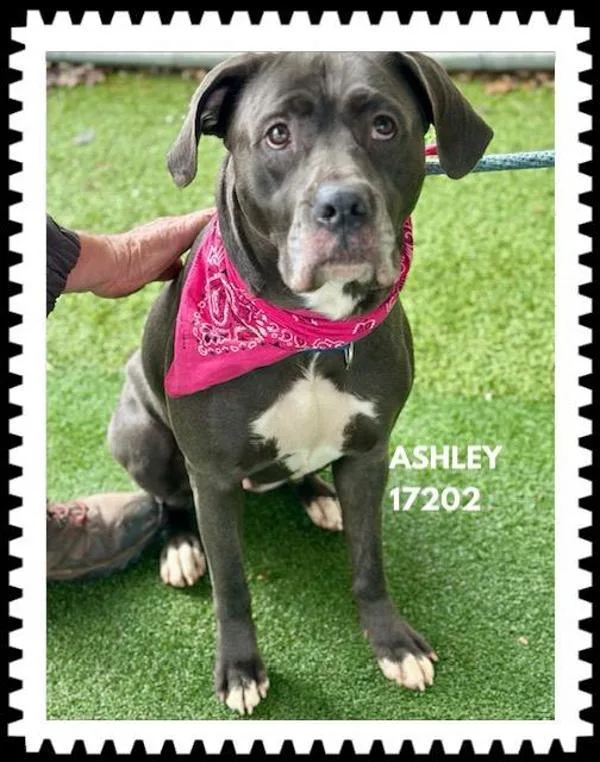 Mary Kate thumbnail 2