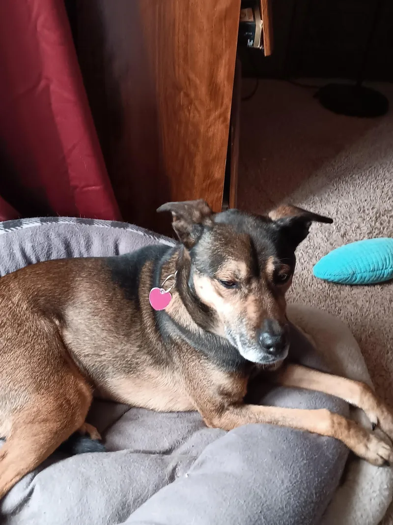 Finnegan thumbnail 4