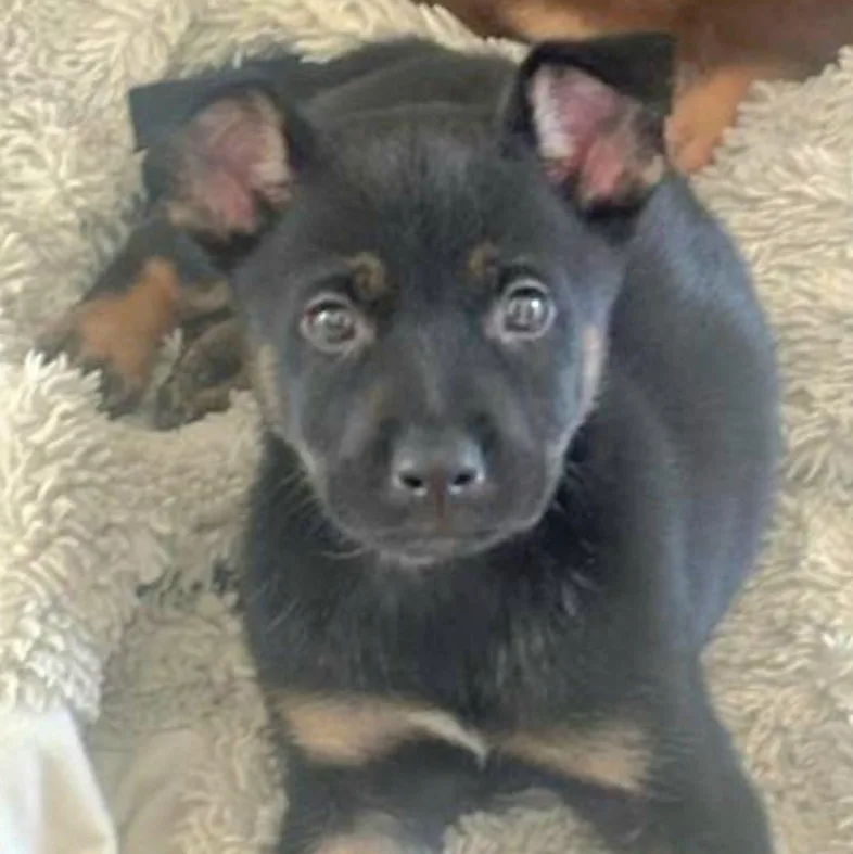 Llori Parti "will You thumbnail 2