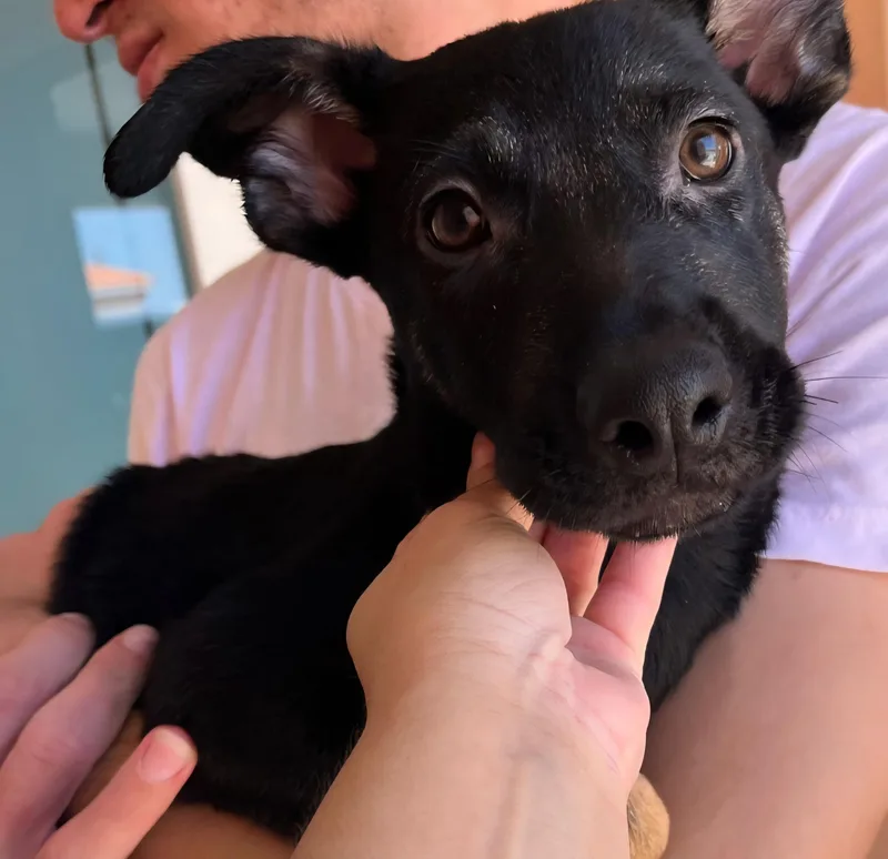 Llori Parti "will You thumbnail 3