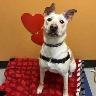 Freya And Mr. Milo thumbnail 3