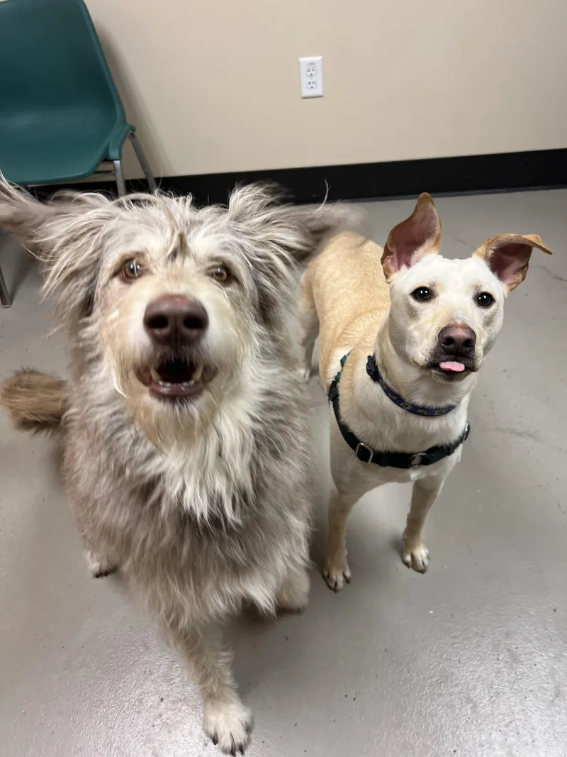 Freya And Mr. Milo thumbnail 4