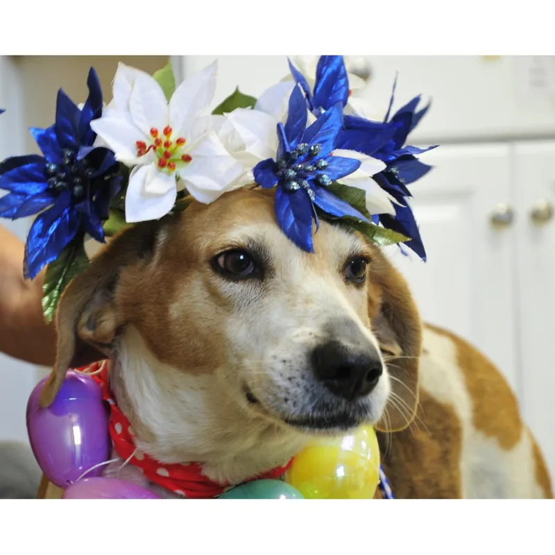 Big Bertha thumbnail 2