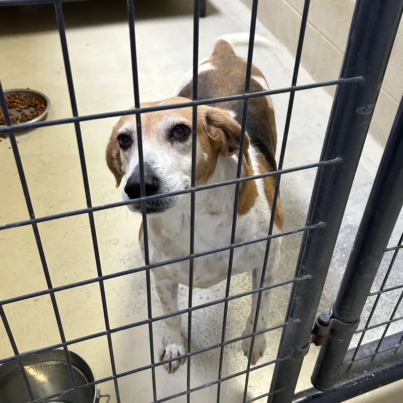 Big Bertha thumbnail 3