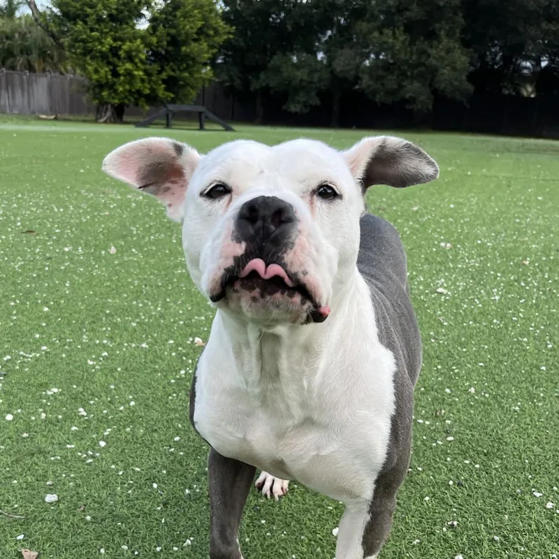 Jessa Jolene thumbnail 2