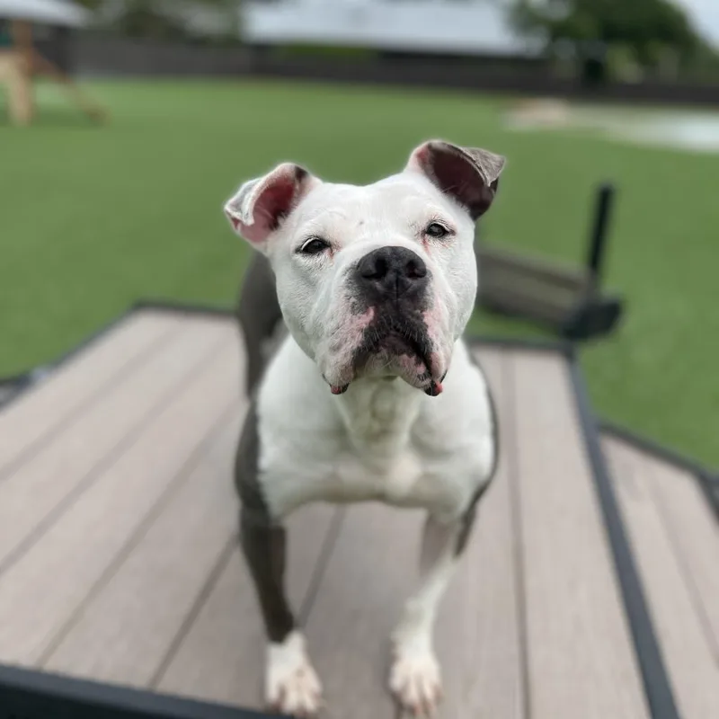 Jessa Jolene thumbnail 3