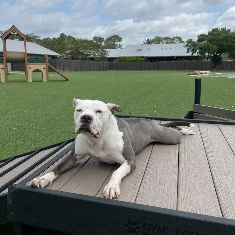 Jessa Jolene thumbnail 4