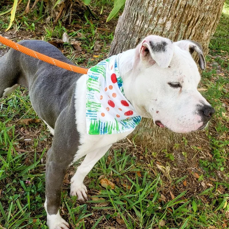 Jessa Jolene thumbnail 5