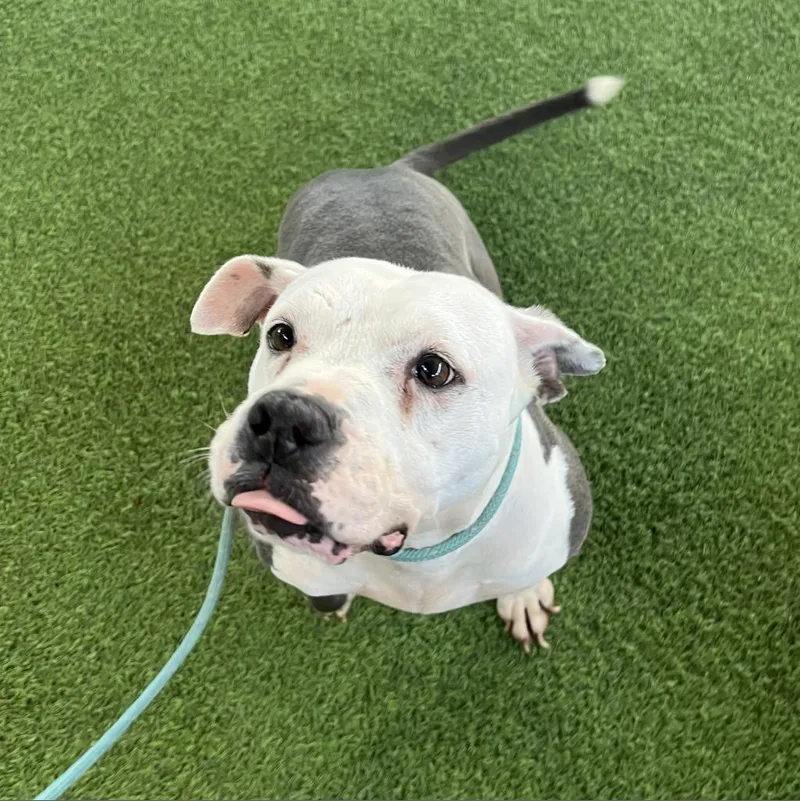 Jessa Jolene thumbnail 6